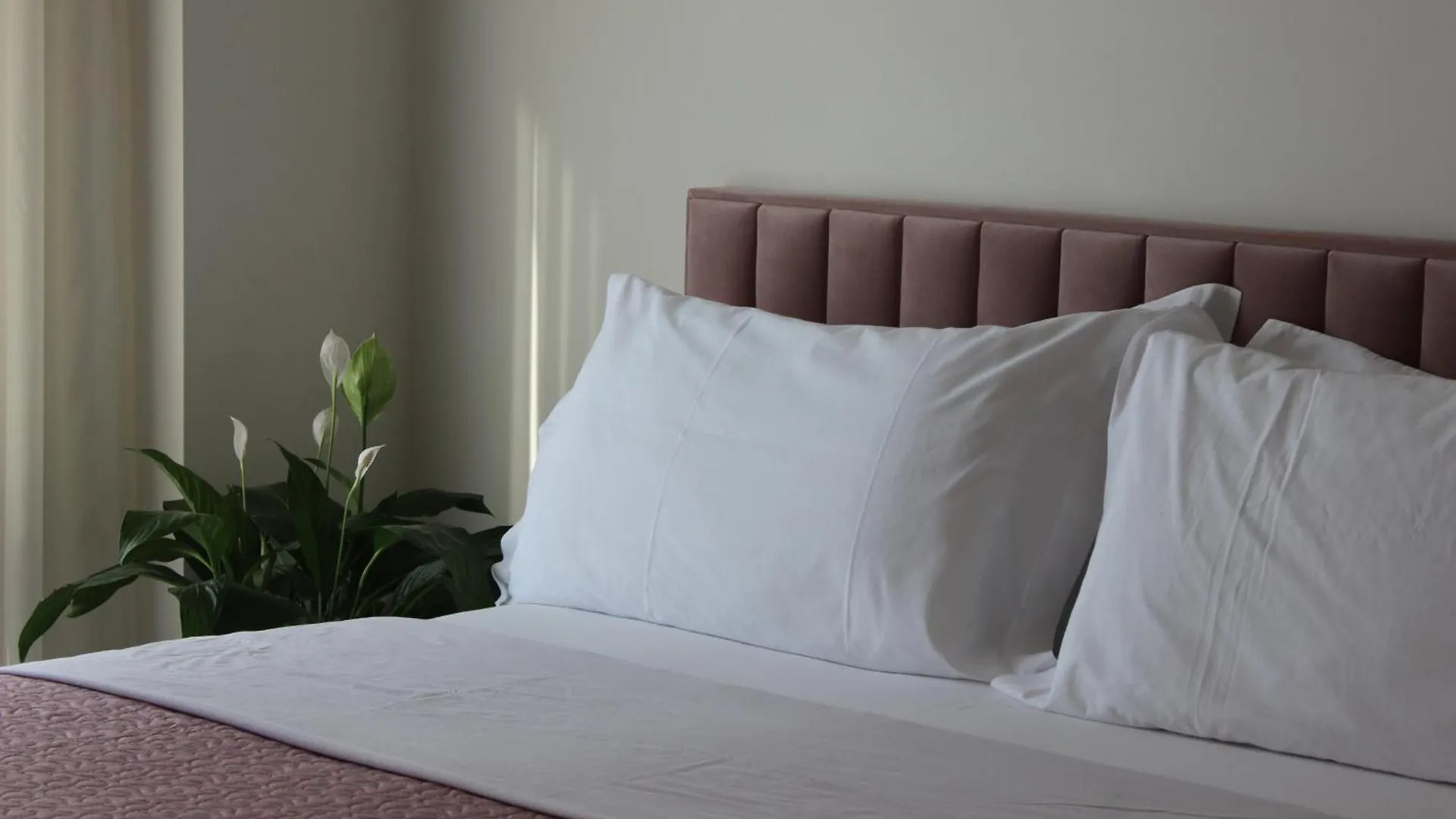 Delight Apartment Tirana Albanië
