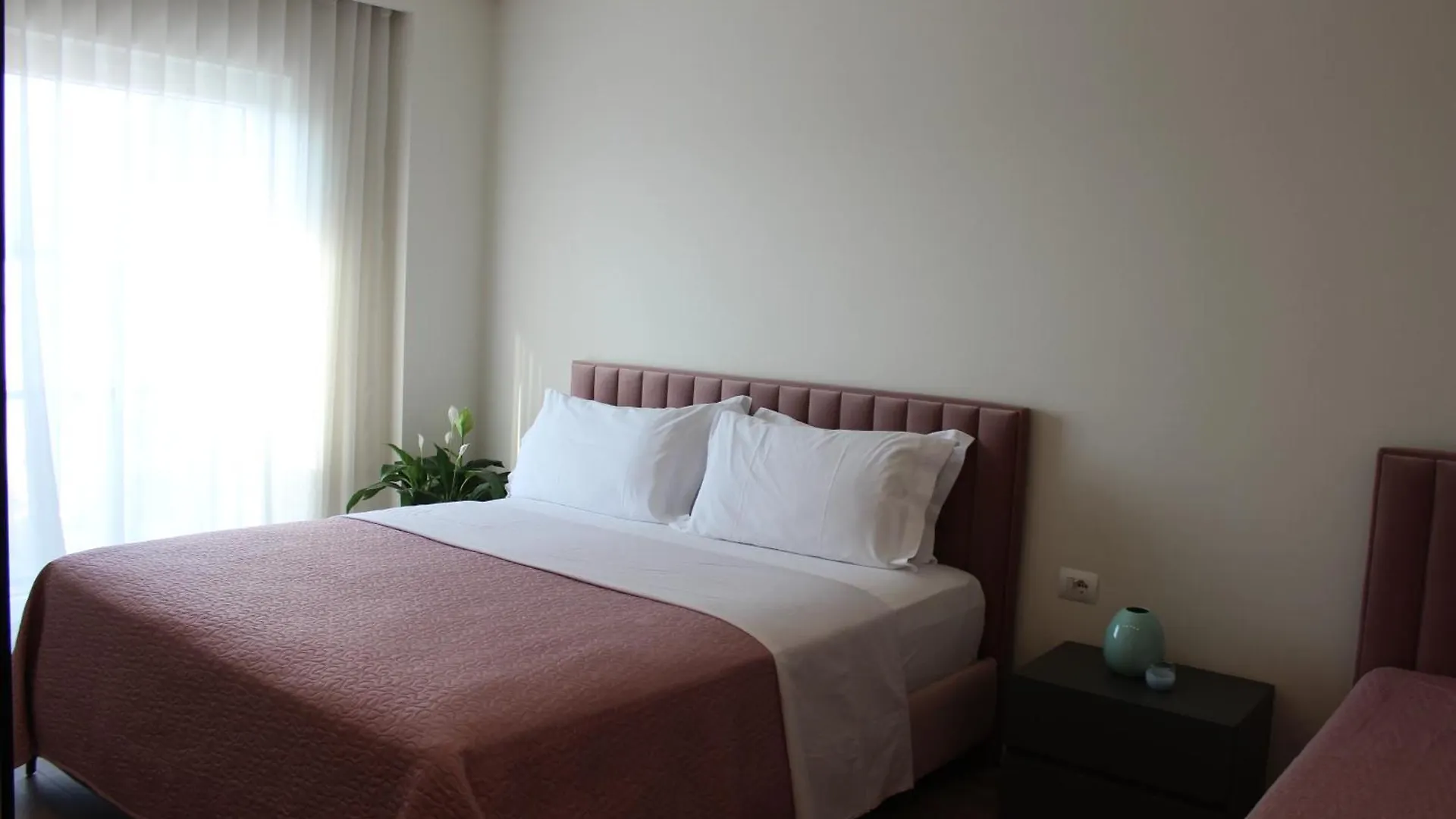Delight Apartment Tirana 0*,  Albanië
